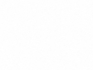 A3